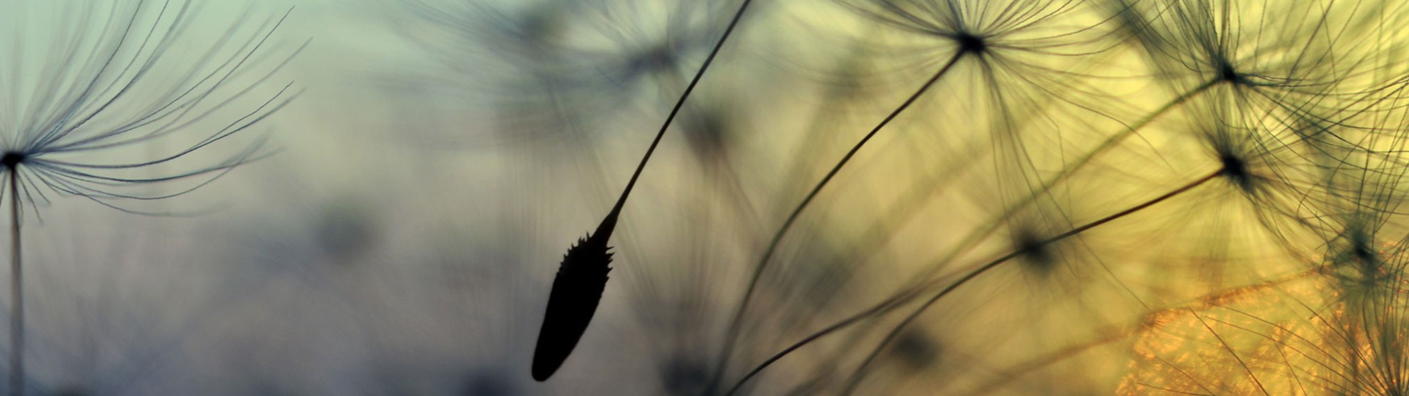 Quantum Clearing